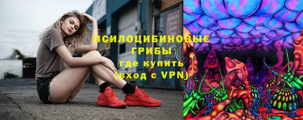 прущие грибы Покров