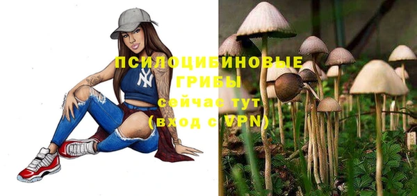 дживик Алексеевка