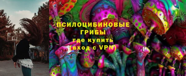 дживик Алексеевка