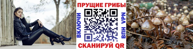 Галлюциногенные грибы мицелий  Купить закладки  Вельск 